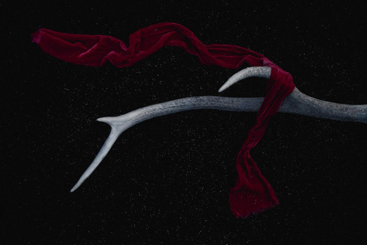 Venenatis Libero Minim Excepteur Tortor